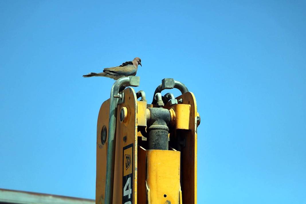 Yuva yıkmadı, takdir topladı: Onlar, Allah'ın misafiri! 200 bin TL'lik fedakarlığı takdir topladı 14